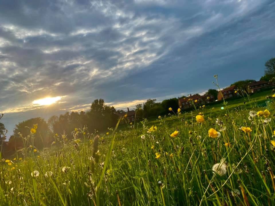 Stillingfleet view